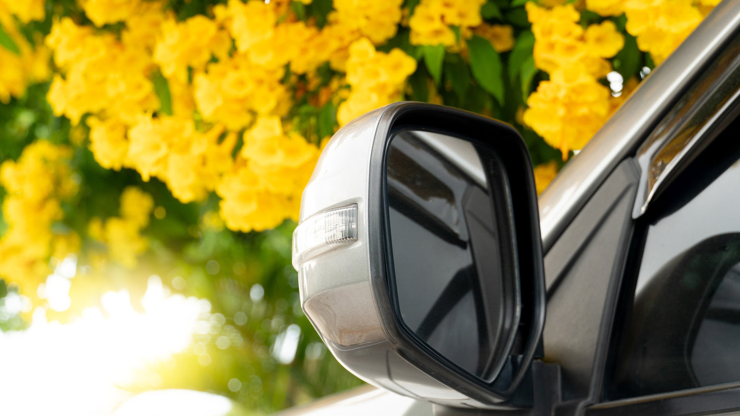 Bug Off Car Diffuser Refill